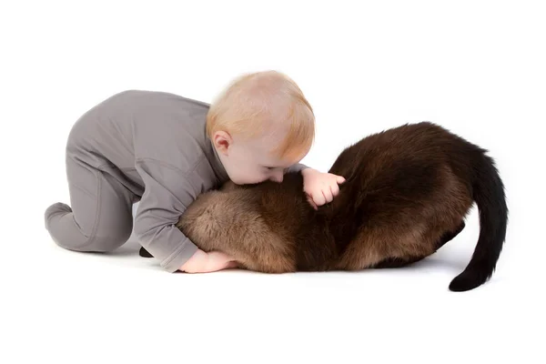 Fundo Branco Bebê Está Brincando Com Seu Gato Miúdos Engraçados — Fotografia de Stock