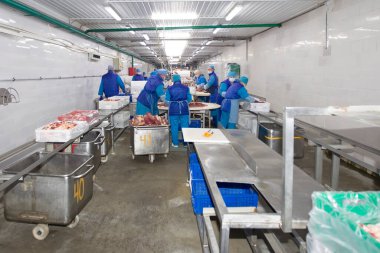 Belarus, Gomilsky bölgesi, 1311 2020. Et üretimi. Et fabrikasındaki taşıma bandının arkasındaki işçiler.