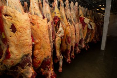 Et üretiminde soğuk et deposu. Et endüstrisi veya fabrika.