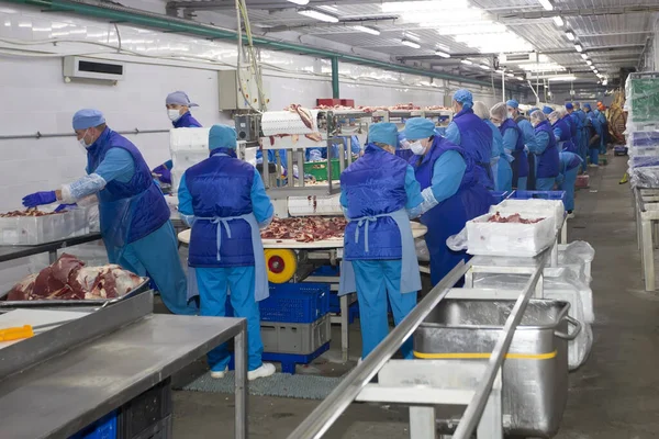 Bielorrússia Distrito Gomilsky 2020 Produção Carne Trabalhadores Atrás Uma Correia — Fotografia de Stock
