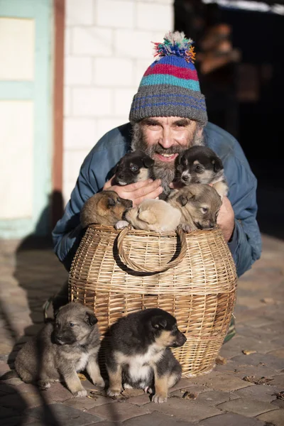 An elderly man with small puppies sitting in a wicker basket. Dog breeder. Puppy seller. Dog kennel.