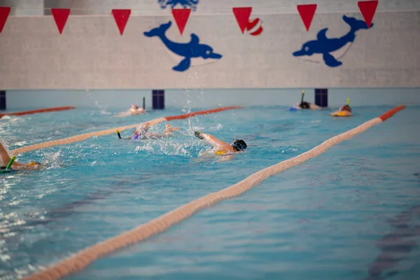 Março 2021 Belarus Cidade Gomel Desportistas Nadam Piscina — Fotografia de Stock