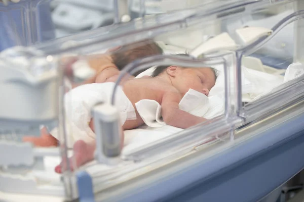 Νεογέννητα Παιδιά Είναι Στα Κουτιά Του Νοσοκομείου — Φωτογραφία Αρχείου