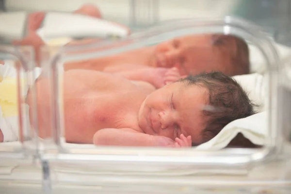 Pasgeboren Kinderen Liggen Dozen Het Ziekenhuis — Stockfoto