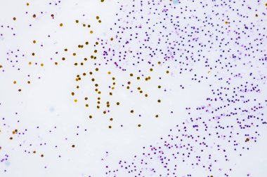 Şenlikli ya da büyüleyici bir arka plan. Beyaz arkaplana saçılmış altın ve mor parıltılar.