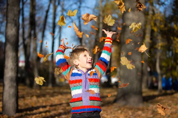 Ragazzino Felice Nel Parco Autunnale Vomita Foglie — Foto Stock