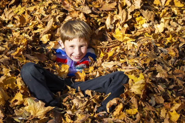 Menino Feliz Uma Pilha Folhas Amarelas Parque Outono — Fotografia de Stock