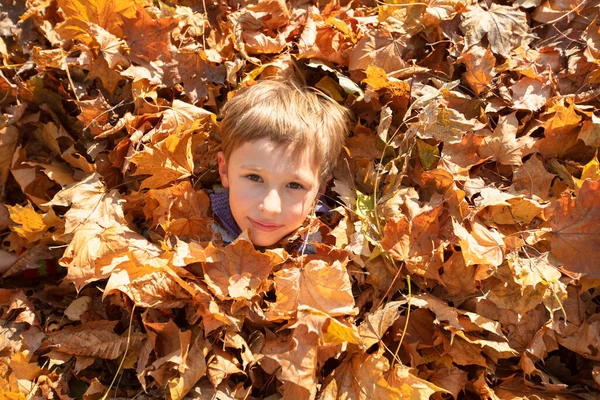 Lycklig Liten Pojke Hög Med Gula Löv Höstparken — Stockfoto