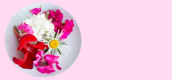 Белой Тарелке Красивые Разноцветные Цветы Розовом Фоне — стоковое фото