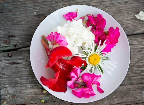 Uma Placa Branca Belas Flores Multi Coloridas Fundo Madeira — Fotografia de Stock