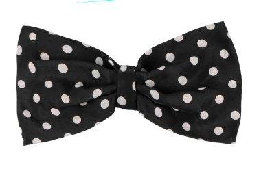 Beyaz arka planda siyah benekli yay yakın plan.