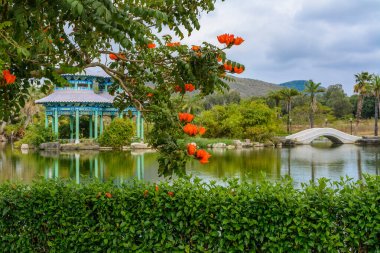 Sanya, Hainan, China - February 20, 2020: Green lake surrounded by gazebos, temples, mountains, fowers, palm grove and stone fence on the territory of Buddhist center Nanshan. clipart