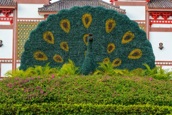 海南省 2020年2月20日 曇りの日に仏教センター南山の領土の入り口で花の孔雀と庭 — ストック写真