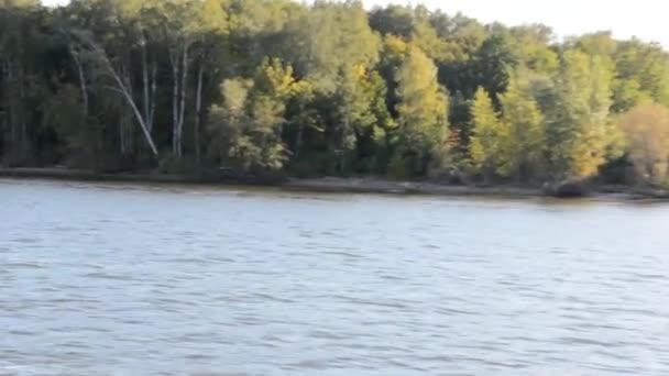 Güneşli Bir Günde Nehir Yolcusu Hidrofolyo Gemisi Meteor Volga Nehri — Stok video