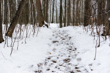 İlk kar. Kış yolu. Çamurlu. Kış manzarası.