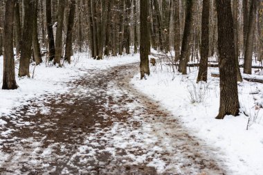 İlk kar. Kış yolu. Çamurlu. Kış manzarası.