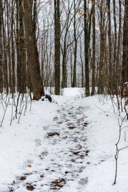 İlk kar. Kış yolu. Çamurlu. Kış manzarası.