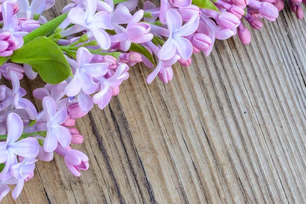 Spring Lilac Flowers Green Leaf Rustic Background Decorative Border Copy — Stock Photo, Image
