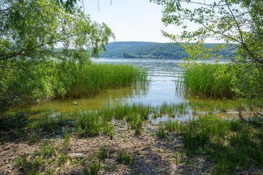 Volga Nehri kıyısında, Zhigulevsk kasabası yakınlarında. Zhiguli dağları. Samarskaya Luka. Yaz.