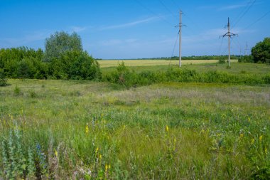 Volga Nehri kıyısında, Zhigulevsk kasabası yakınlarında. Zhiguli dağları. Samarskaya Luka. Yaz.