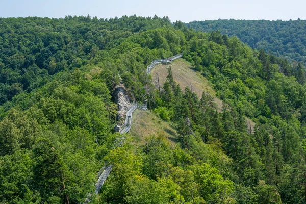 Volga Nehri kıyısında, Zhigulevsk kasabası yakınlarında. Zhiguli dağları. Samarskaya Luka. Yaz.