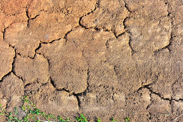 Barro Seco Agrietado Textura Del Suelo Fondo Temporada Sequía Terreno —  Fotos de Stock