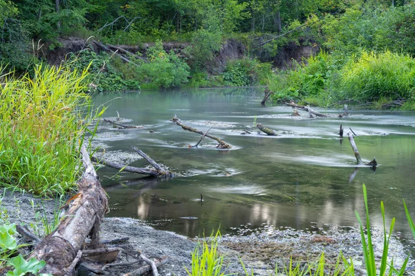 Řeka Úsvitu Pokryta Ranní Mlhou Obklopená Hustým Zeleným Lesem Divoká — Stock fotografie