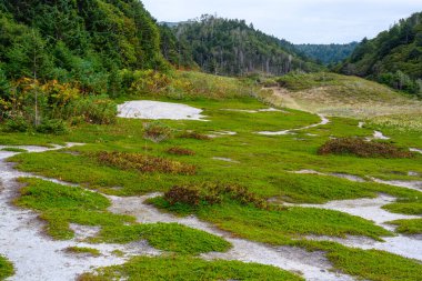 Yumuşak yeşil yosunlar kayalık zemini Rus ayarıyla örtüyor. Yükselen ağaçlar sahneyi oluştururken uzak tepeler de huzur dolu bir zemin oluşturuyor. Keşif ve yansımaya davetiye çıkarıyor..