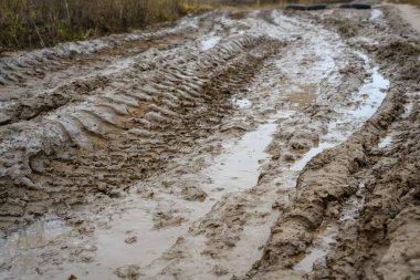 Derin lastik izleri, kırsal bir ortamda çamurlu zemini işaret ediyor. Bu da yağmurun asfaltsız yoldaki kuru otlar üzerindeki etkisini gösteriyor..