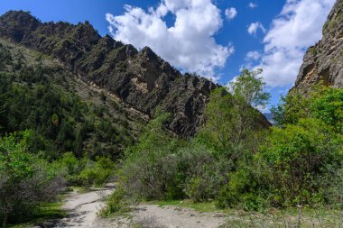 Dağlık arazi, yemyeşil bitki örtüsü ve kirli bir yol. Dağıstan Rusya.
