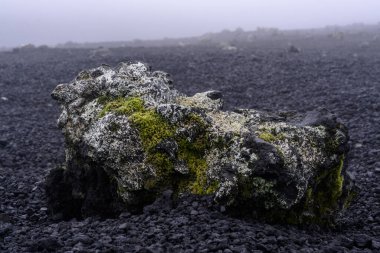 Eşsiz bir kaya, canlı yosun parçalarıyla kaplı volkanik bir alanda sessizce durur. Karanlık, küllü zemin her yere yayılıyor. Sis perdeleri gizemini koruyor..