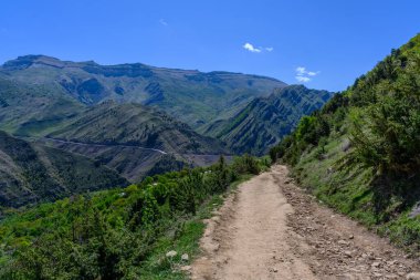 Mavi Gök Altında Bereketli Yeşillik ile Dağ Yolu. Dağıstan Rusya.