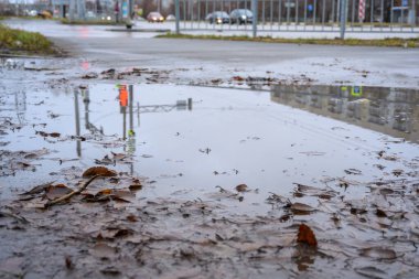 Sokakta su birikintisi oluşturur. Yakınlardaki trafik ve sonbahar yapraklarının yansımalarını yakalar. Huzurlu bir şehir manzarası yaratır..
