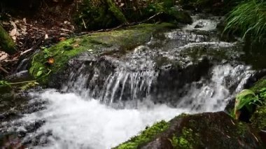 Kunashir Adası 'nda çağlayan şelaleler ve yemyeşil sularla dolu sakin bir nehrin akışına tanık olun. Kendini barışın hüküm sürdüğü bu doğal cennete daldır..