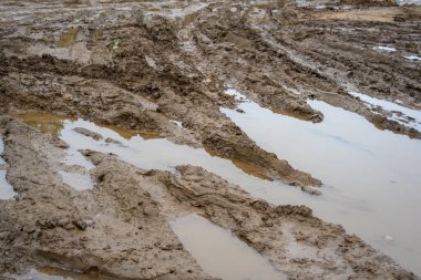 Şiddetli yağmurlar geride çamurlu zemin ve su birikintileri bıraktı, kırsal kesimin engebeli güzelliğini gösteriyor. Islak toprak bulutların altında parlıyor..