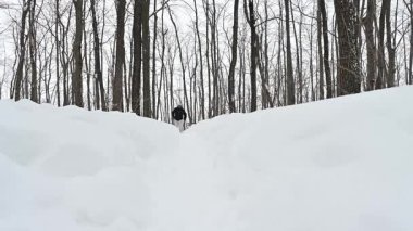 Bir adam kış ormanında karla kaplı bir yolda cesurca yol alır. Kartaneleri yavaşça düşüyor, derin akıntılara doğru, serin, karlı bir günün güzelliğini kucaklayarak..