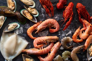 Kivi midyeli karides çeşitleri ve mürekkep balığı ve buz grisi arka planlı kerevit.