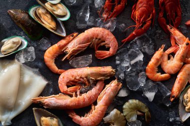 Kivi midyeli karides çeşitleri ve mürekkep balığı ve buz grisi arka planlı kerevit.