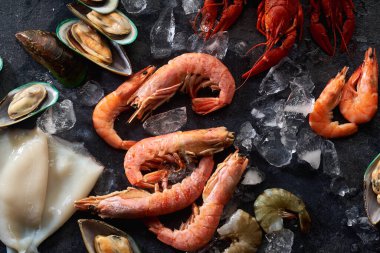 Kivi midyeli karides çeşitleri ve mürekkep balığı ve buz grisi arka planlı kerevit.