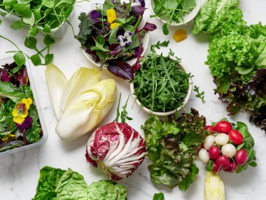 Bir mutfaktaki mermer tezgahın üzerine farklı türde marul konur. Bunlar arasında radicchio, romaine, rogula ve diğerleri vardır. Taze sebzeler salata ve sağlıklı yemekler için hazır..