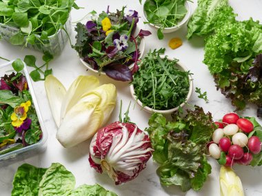 Taze marul ve sebzeler sağlıklı bir yemek için pürüzsüz bir mermer tezgahta düzenlenir. Bu düzende radicchio, romaine, rogula ve çeşitli otlar bulunur..