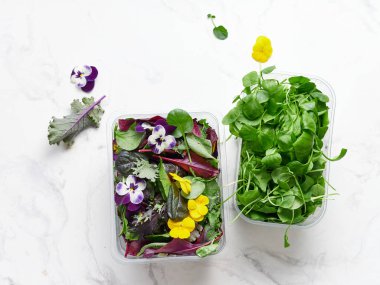 Konteynırlar radicchio, romaine, roucola gibi farklı marulları bir mutfak ortamındaki mermer tezgahın üzerinde tutarlar. Taze çiçekler sahneye renk katar.