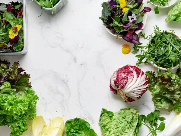 Bir mermer tezgah boyunca çeşitli marul ve sebzeler yayılır. Radicchio, romaine, rogula ve diğerleri sağlıklı yemek planlaması için hazırlar..