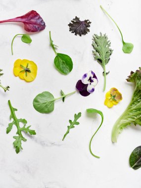 Farklı marul yaprakları ve yenilebilir çiçeklerin karışımı beyaz mermer bir tezgaha yayılır. İçindekiler arasında radicchio, romaine, rogula ve daha fazlası var. Vejetaryen salatası için mükemmel..