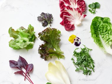 Beyaz mermer bir yüzey üzerinde farklı marul ve yenilebilir çiçekler sergilenir. İçlerinde radicchio, romaine, rogula ve vejetaryen salatası var..