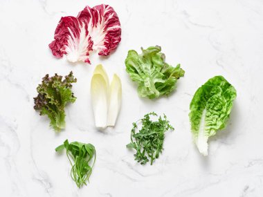 Beyaz mermer bir tezgahın üzerine farklı türde marul yaprakları yerleştirilir. Buna radicchio, romaine, rogula, chicory ve daha fazlası dahildir. Sahnede kullanıma hazır taze salata malzemeleri var..
