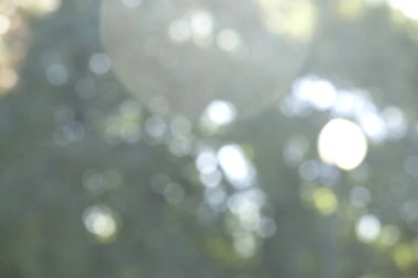 Yaz mevsimi, doğada huzurlu bir yaz günü kavramı ile soyut bir arkaplanı bulanıklaştırdı..