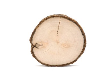 Ağaç desenli ahşap kesiti ve beyaz arka planda izole edilmiş çatlak.