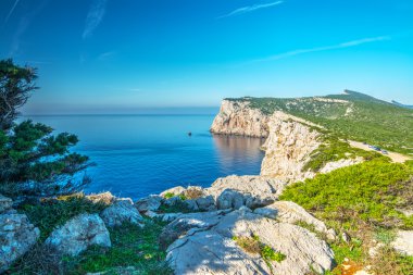 Capo Caccia beyaz kayalarda