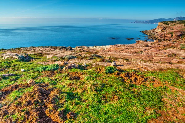 Rode rotsen en groene planten door de zee — Stockfoto